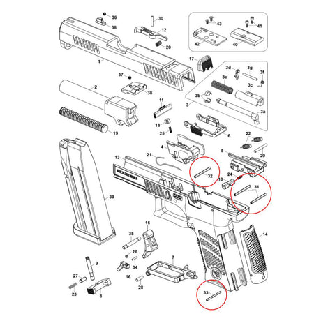 CZ P-10 set of pins